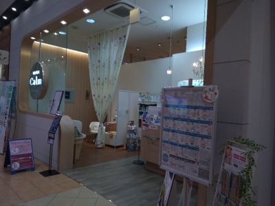 全てのジャンルのサロン検索結果 ツクツク ビューティーモバイル ポイントが貯まるサロンの検索予約サイト