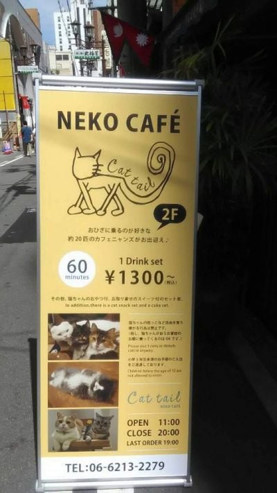 NEKO  CAFE　Cat tail